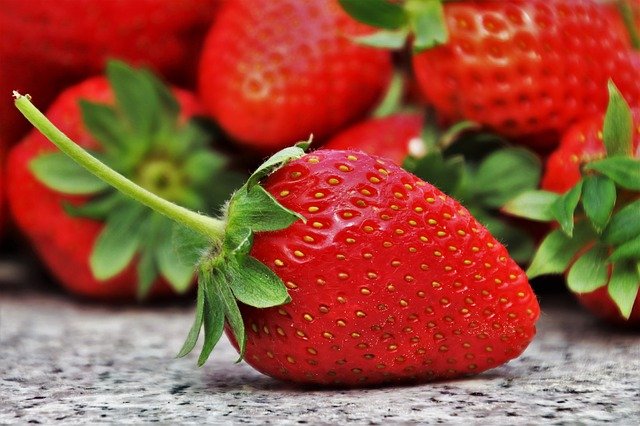 תותים - פרי עסיסי ובריא שמומלץ לגדל בבית